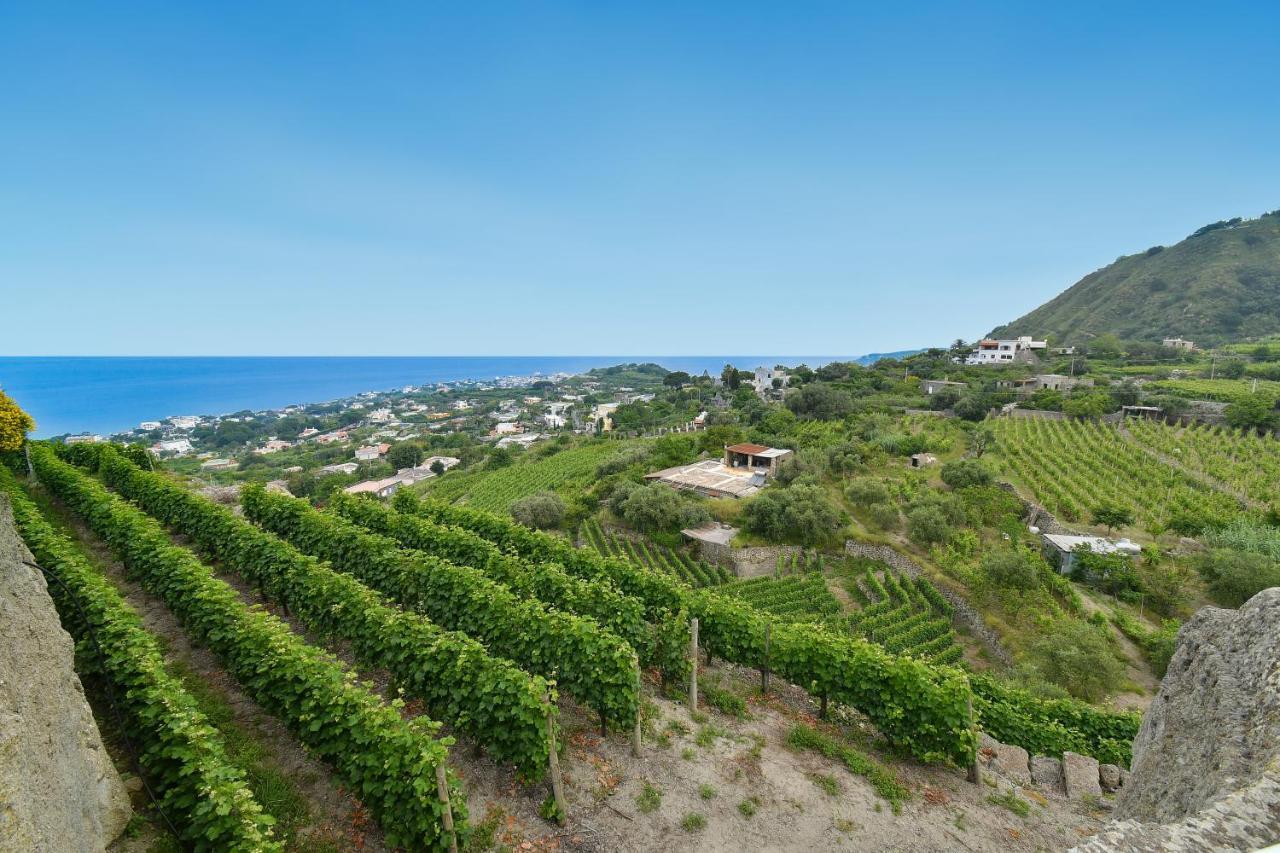 Tenuta C'Est La Vie Forio di Ischia المظهر الخارجي الصورة