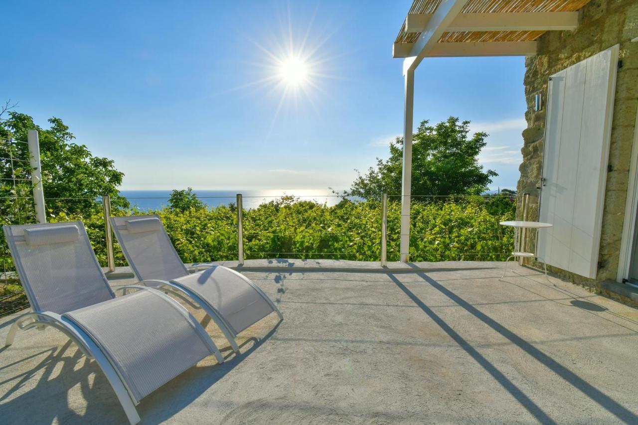 Tenuta C'Est La Vie Forio di Ischia المظهر الخارجي الصورة